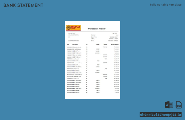 Beispiel eines Kontoauszugs der Sri Lanka People's Bank (Vorschau)